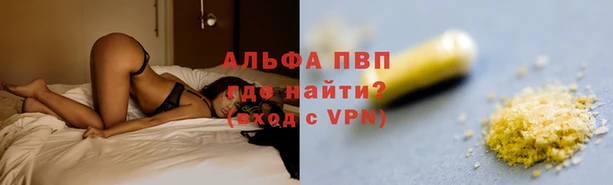 mdpv Богородск